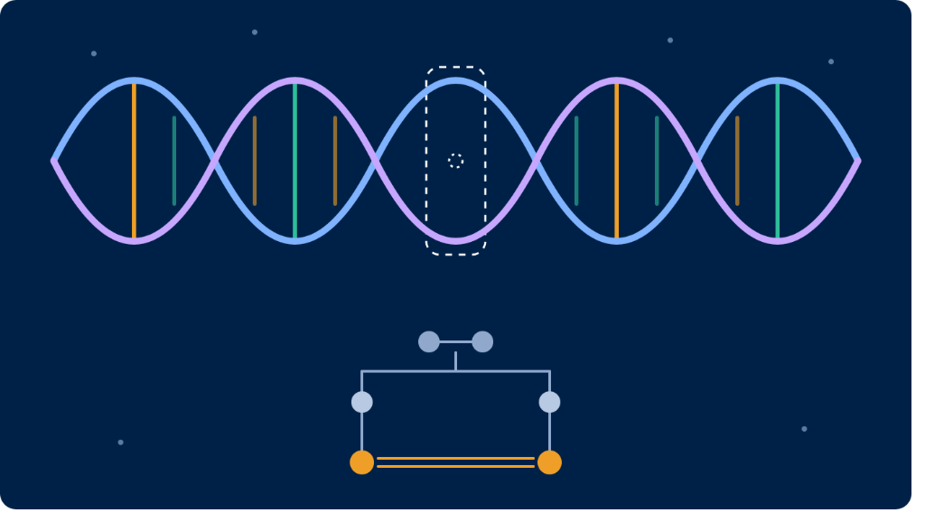 The Genes That Weren't There: What Pakistan's Cousin Marriages Accidentally Taught Science